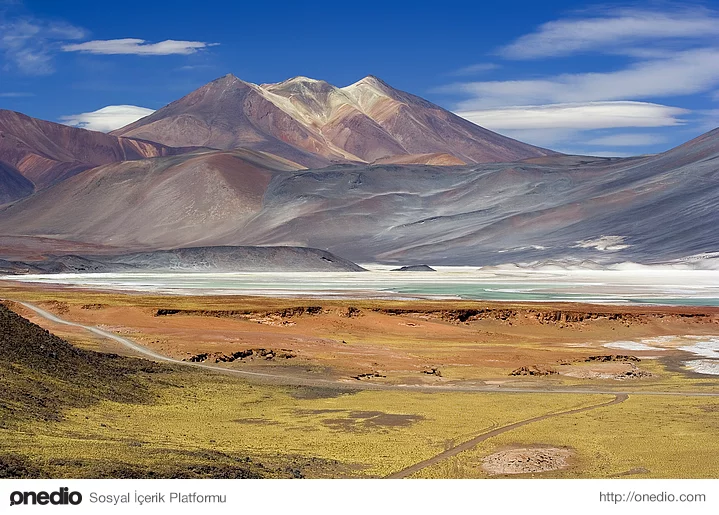Şili'deki Atacama Çölü'ne bugüne dek hiç yağmur yağmamış.