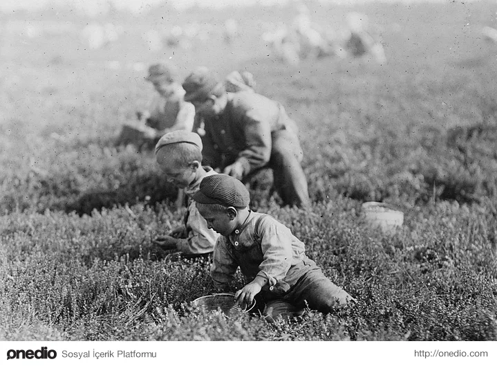 Tarlada çalışan 3, 6 ve 9 yaşlarındaki çocuklar. (1910)