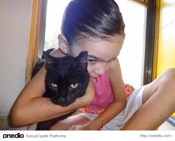 Daha önce kimsenin dokunmayı dahi beceremediği kediyle sarmaş dolaş olan bu güzel kız.
